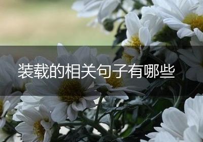 装载的相关句子有哪些