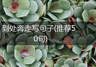 到处奔走写句子(推荐50句)