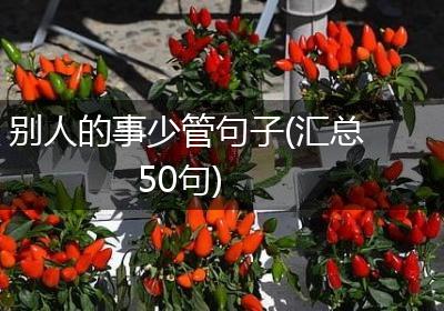 别人的事少管句子(汇总50句)