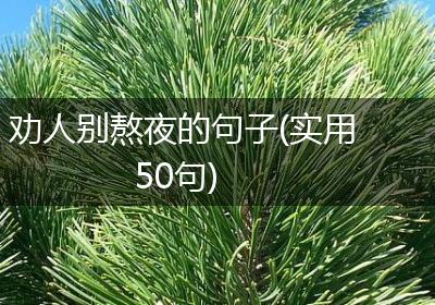 劝人别熬夜的句子(实用50句)