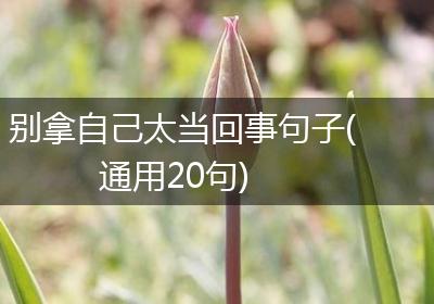 别拿自己太当回事句子(通用20句)