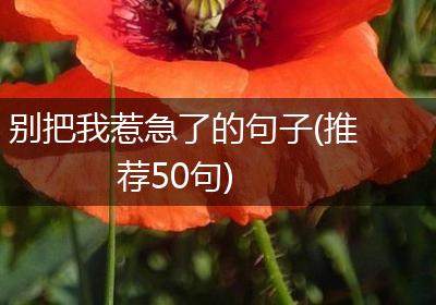 别把我惹急了的句子(推荐50句)