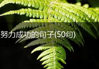 努力成功的句子(50句)