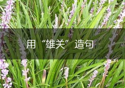 用“雄关”造句