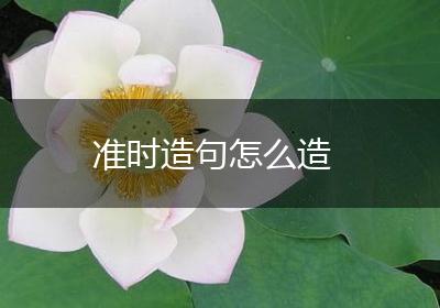 准时造句怎么造