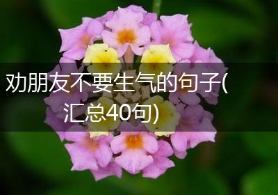 劝朋友不要生气的句子(汇总40句)