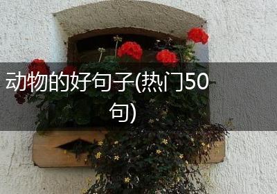 动物的好句子(热门50句)