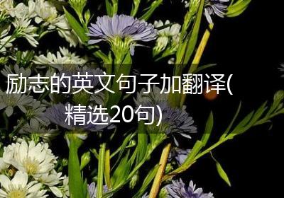 励志的英文句子加翻译(精选20句)