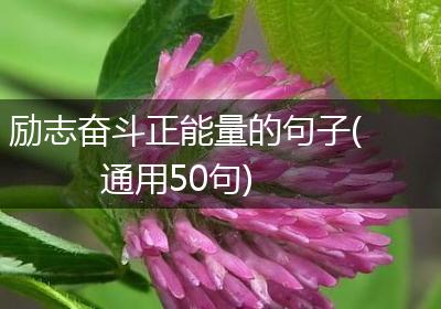 励志奋斗正能量的句子(通用50句)