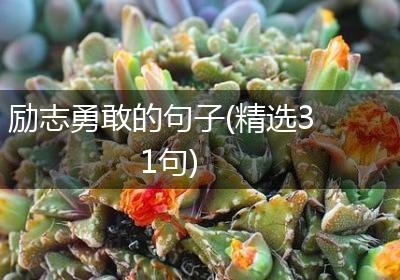 励志勇敢的句子(精选31句)