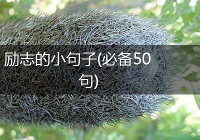 励志的小句子(必备50句)