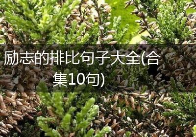 励志的排比句子大全(合集10句)