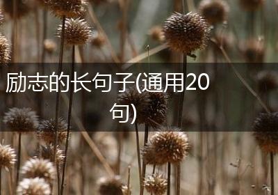 励志的长句子(通用20句)