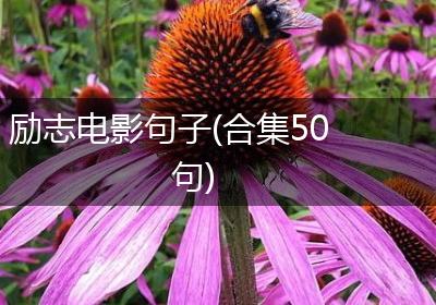 励志电影句子(合集50句)