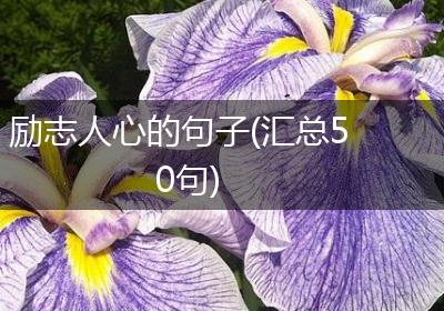 励志人心的句子(汇总50句)
