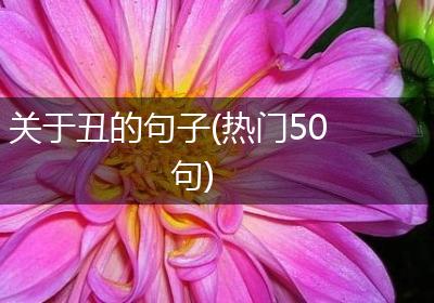关于丑的句子(热门50句)