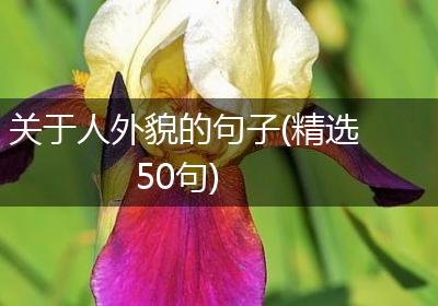 关于人外貌的句子(精选50句)