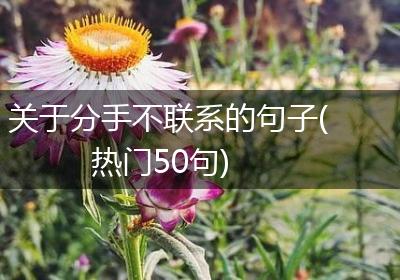 关于分手不联系的句子(热门50句)