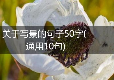 关于写景的句子50字(通用10句)