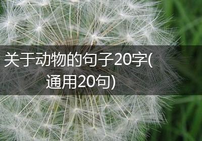 关于动物的句子20字(通用20句)