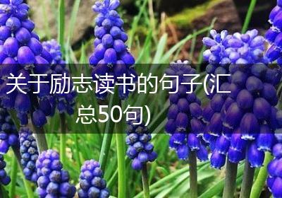 关于励志读书的句子(汇总50句)