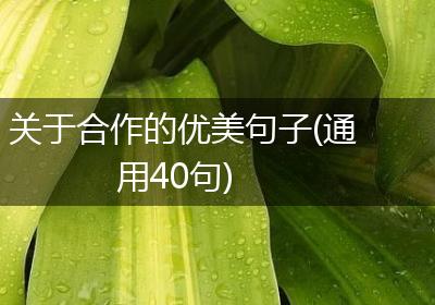 关于合作的优美句子(通用40句)
