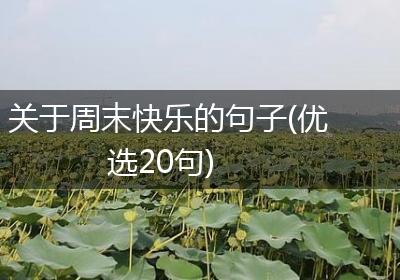 关于周末快乐的句子(优选20句)