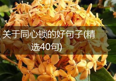 关于同心锁的好句子(精选40句)