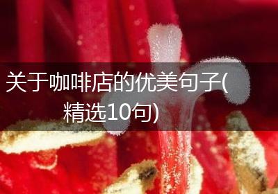 关于咖啡店的优美句子(精选10句)