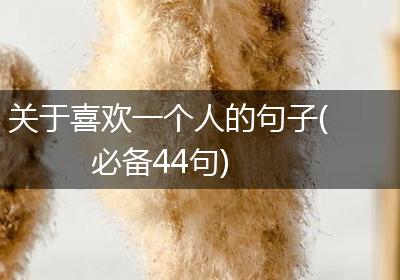 关于喜欢一个人的句子(必备44句)