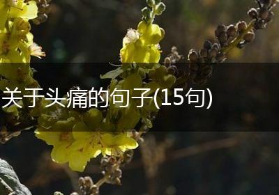 关于头痛的句子(15句)