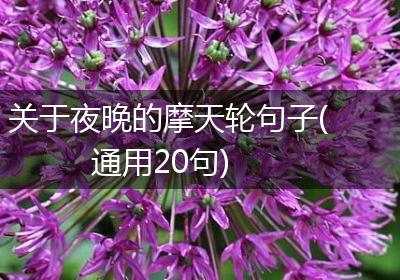 关于夜晚的摩天轮句子(通用20句)