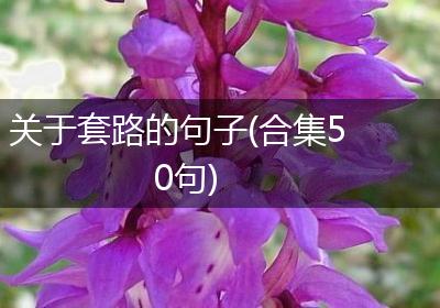关于套路的句子(合集50句)