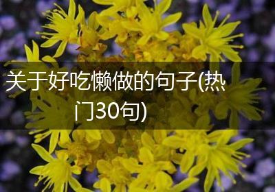 关于好吃懒做的句子(热门30句)