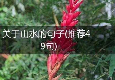 关于山水的句子(推荐49句)