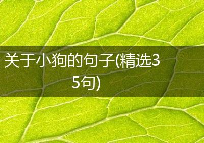 关于小狗的句子(精选35句)