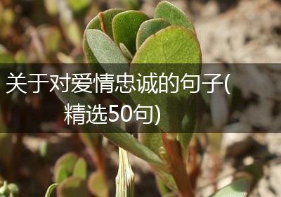 关于对爱情忠诚的句子(精选50句)