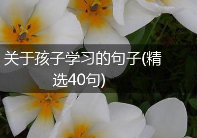 关于孩子学习的句子(精选40句)