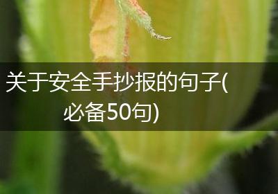 关于安全手抄报的句子(必备50句)
