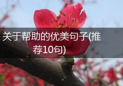 关于帮助的优美句子(推荐10句)