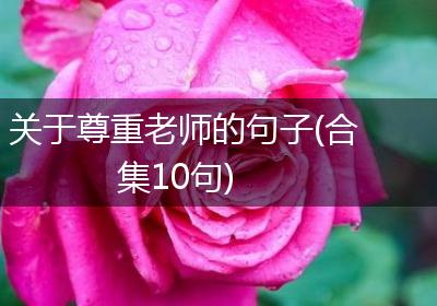 关于尊重老师的句子(合集10句)