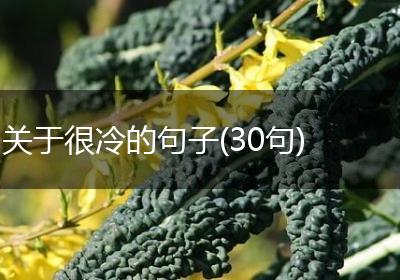 关于很冷的句子(30句)