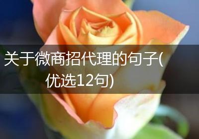 关于微商招代理的句子(优选12句)