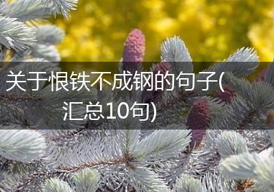 关于恨铁不成钢的句子(汇总10句)