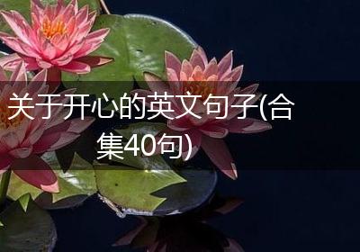 关于开心的英文句子(合集40句)