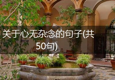 关于心无杂念的句子(共50句)