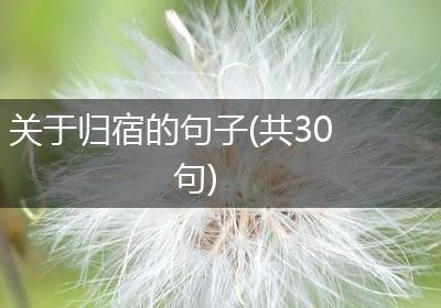 关于归宿的句子(共30句)