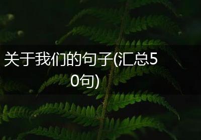 关于我们的句子(汇总50句)