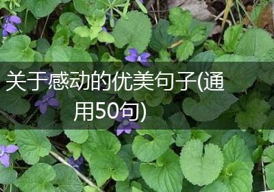 关于感动的优美句子(通用50句)
