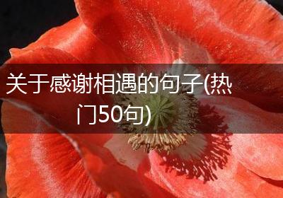 关于感谢相遇的句子(热门50句)